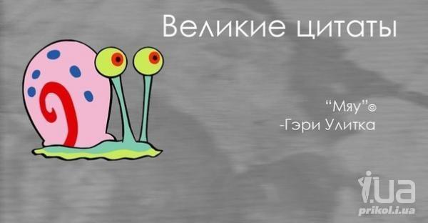 895677 1224178