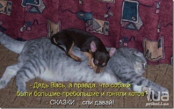 936177