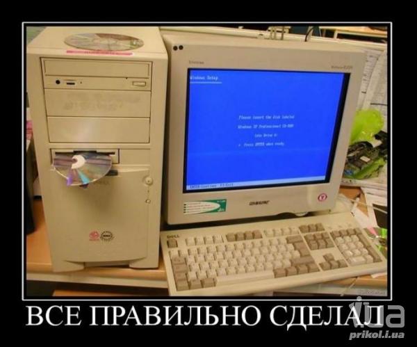 539887 516673