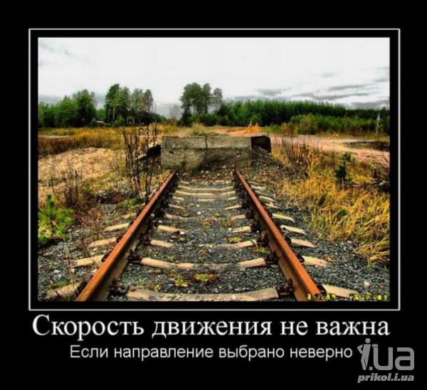 539887 516681