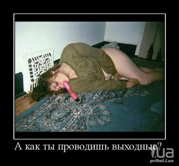 539887 516682