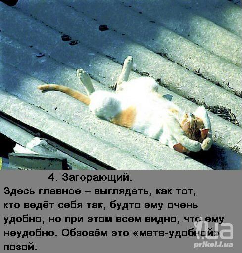 794497 969518