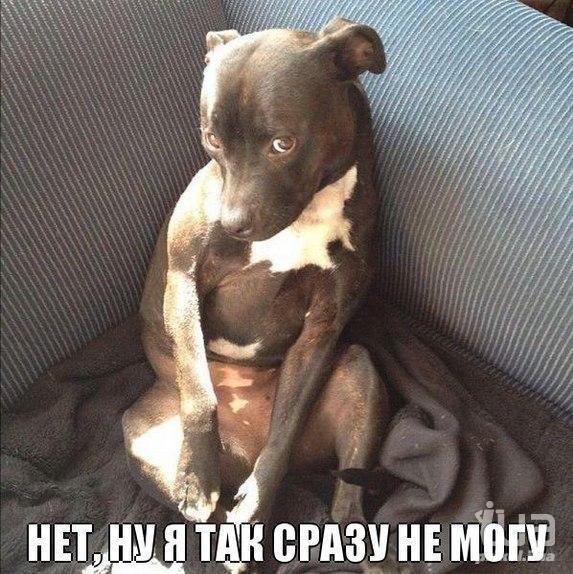 833758 1059213