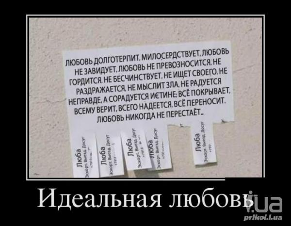 1036688 1503722