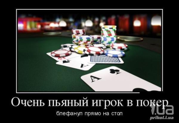 1036688 1503733