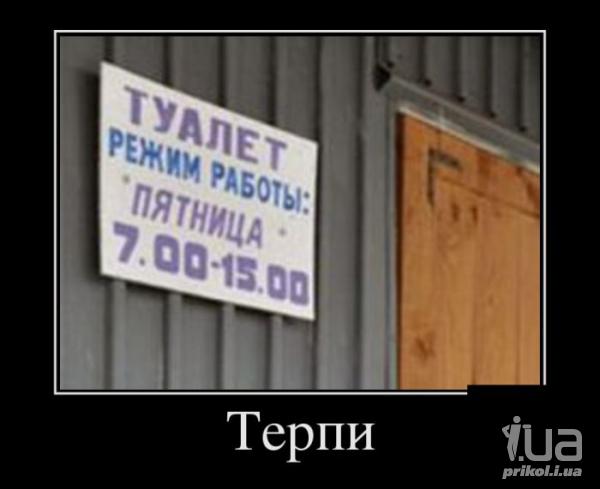 1036688 1503736
