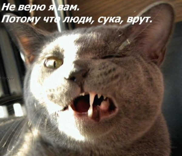 393288 376177