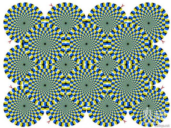 491888 476115
