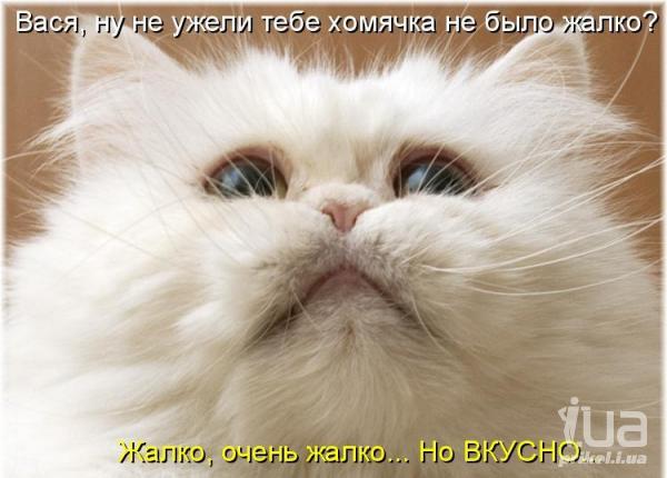 696488 763917