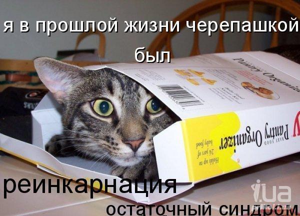 724788 816045