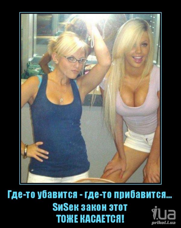 870188 1162537