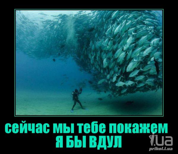 870188 1162541