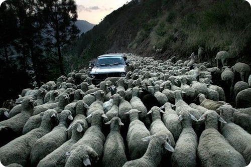 عکس: وقتی راننده ها راه پس و پیش نداشته باشن! 