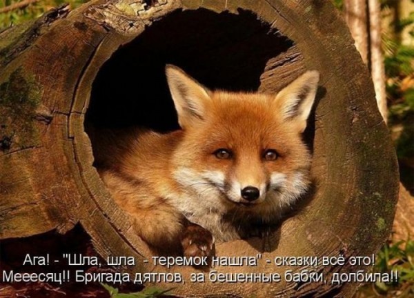 349899 336183