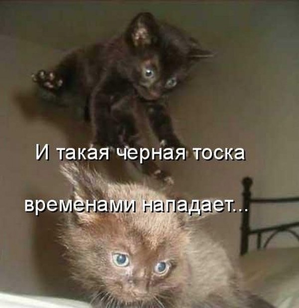 349899 336189