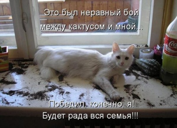 349899 336190