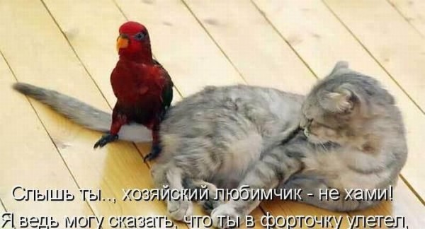 349899 336196