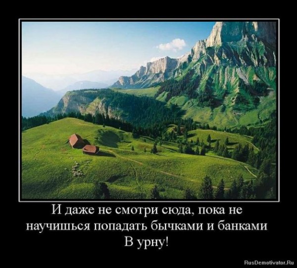 401899 385202