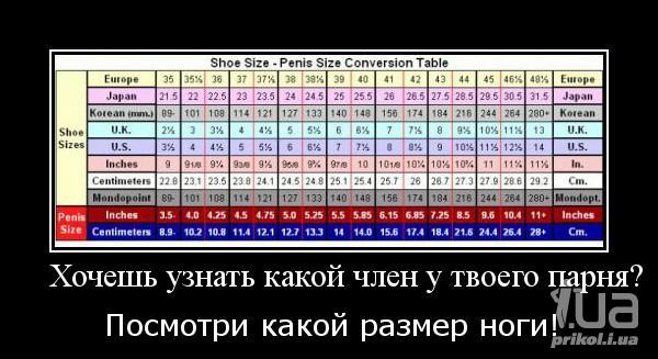 715799 798123
