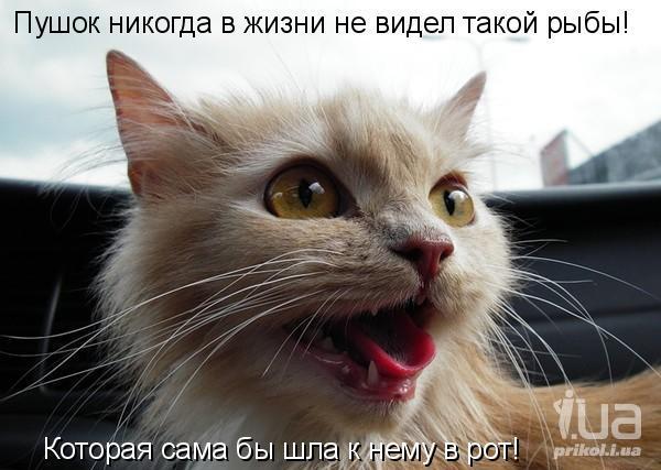 737399 839863