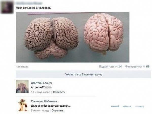 915999