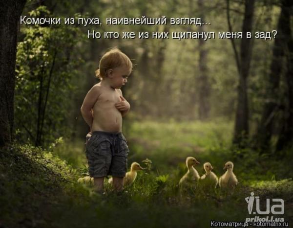 922099 1281264