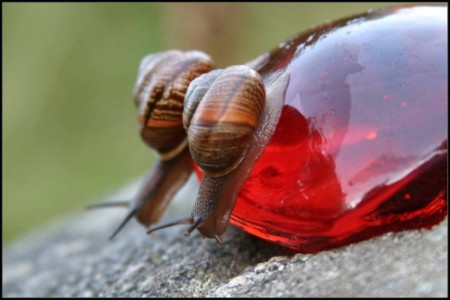 �� �����...��������... - ���, ��������, ����