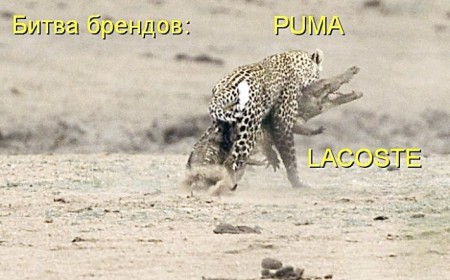 Размещенное изображение