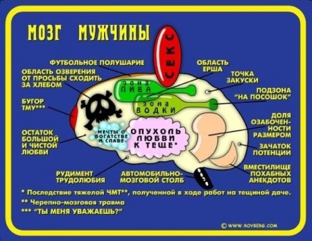Размещенное изображение