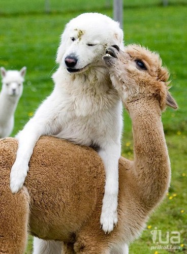 � � � � � � � � � ! ! ! - ��������