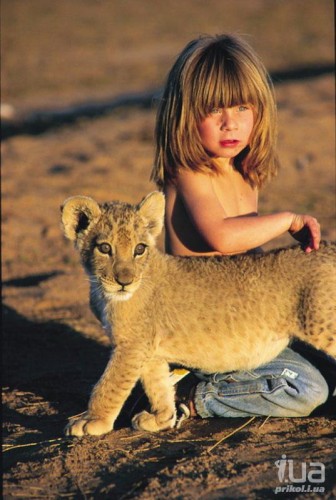 ...���� � ��������: ������� ���� ������!!! - ������, ��������, ����, ���������� ��������, �������