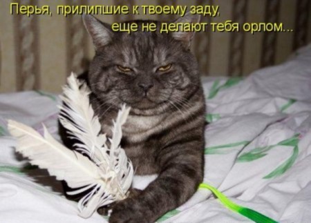)))