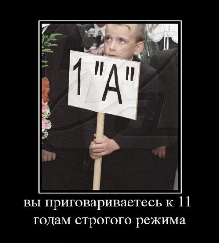Размещенное изображение