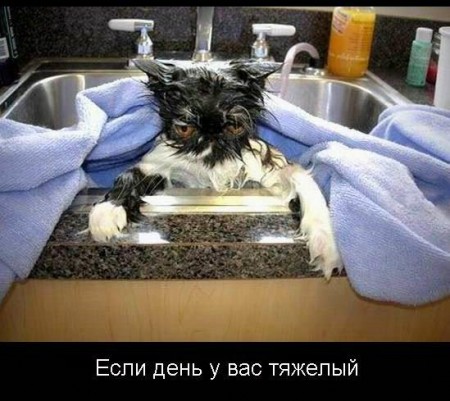 ������ �� ������ - ��������