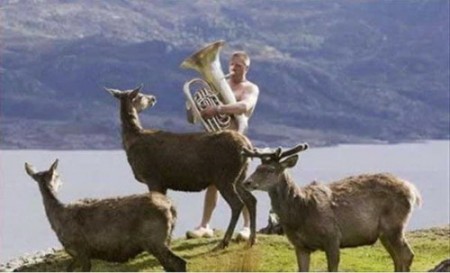 �������� ����� - ��������, ����, ������