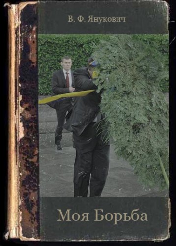 Размещенное изображение