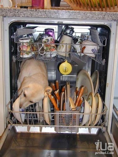 Картинка дня