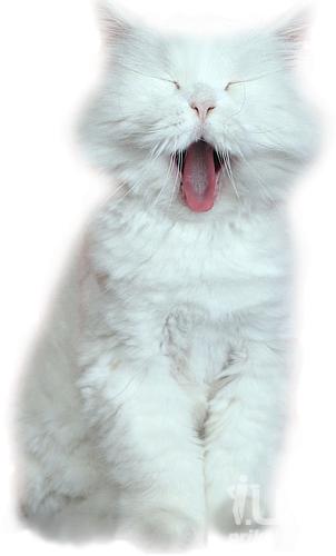 �� �� � ��� ����� ��.... - ��������, ����, �������, �������