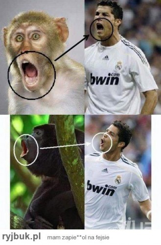 ������??? - ��������, �������