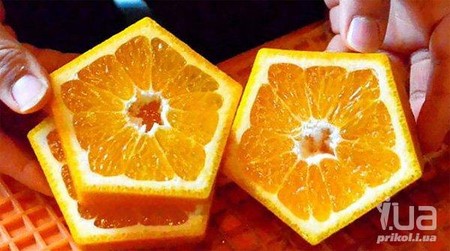 Картинка дня
