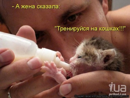 �����)) - ��������, �����������, ����, �������, �������, ����