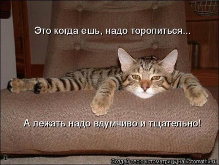 Размещенное изображение