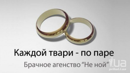 �� �������...