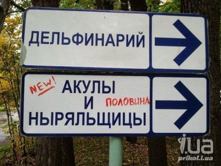 �������� �������)) - �������, ����������