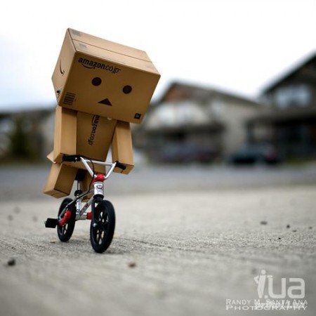   ...) - , , , 