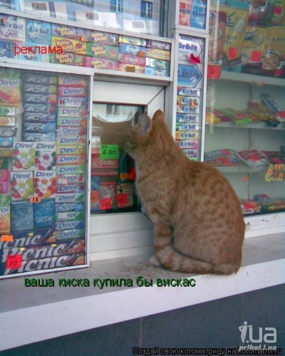 ������ ��...�� �������. - ��������