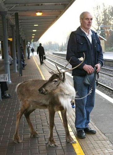 ���� � �������� ��� �� ��������� - ��������, ����