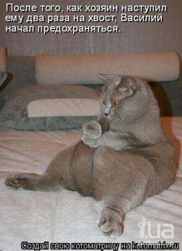 ������������))) - ��������, ����, ����, ������, �����