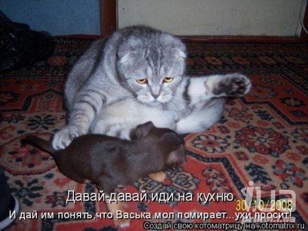 �� �����... - ��������