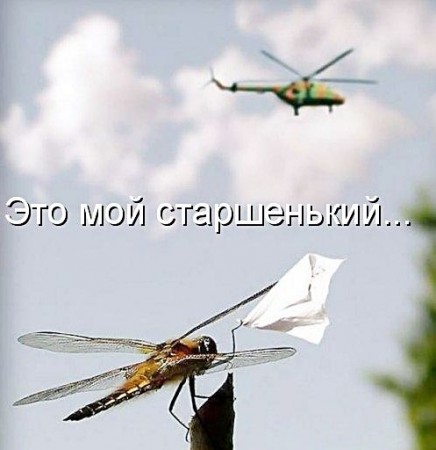 Размещенное изображение